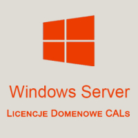 Licencje Domenowe CALs